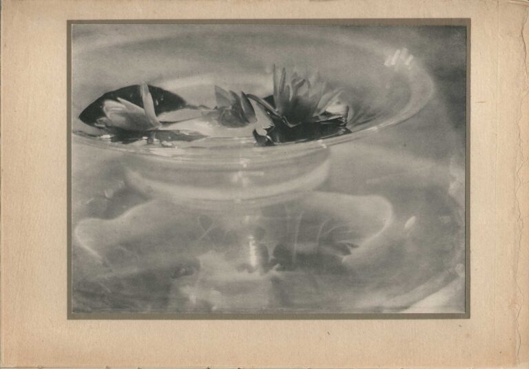 Still Life | Water Lilies in Bowl