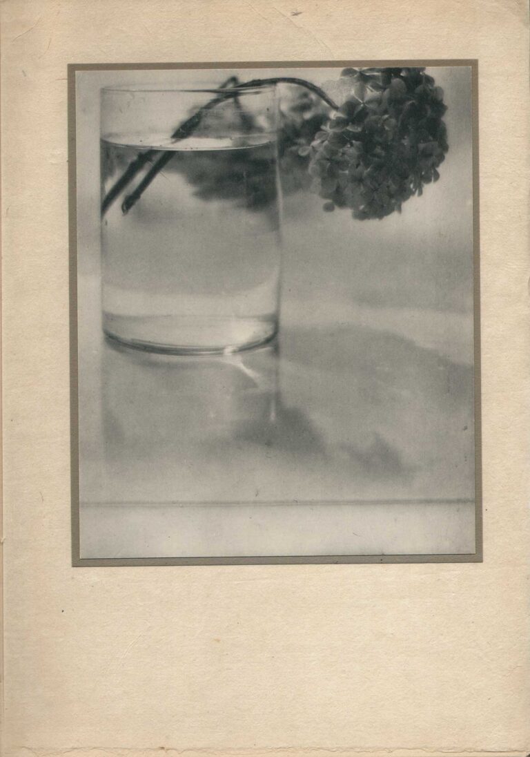 Still Life | Hydrangea Blooms in Water Glass