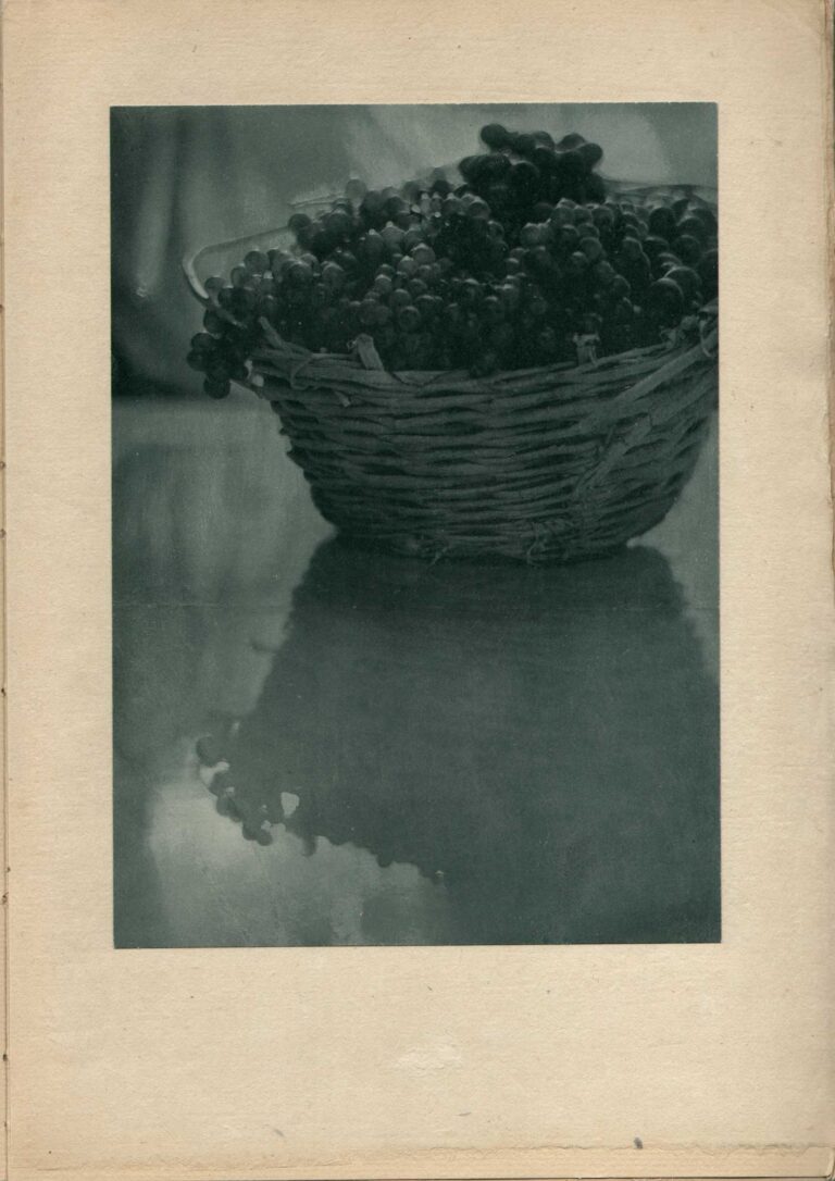 Still Life | Basket of Grapes