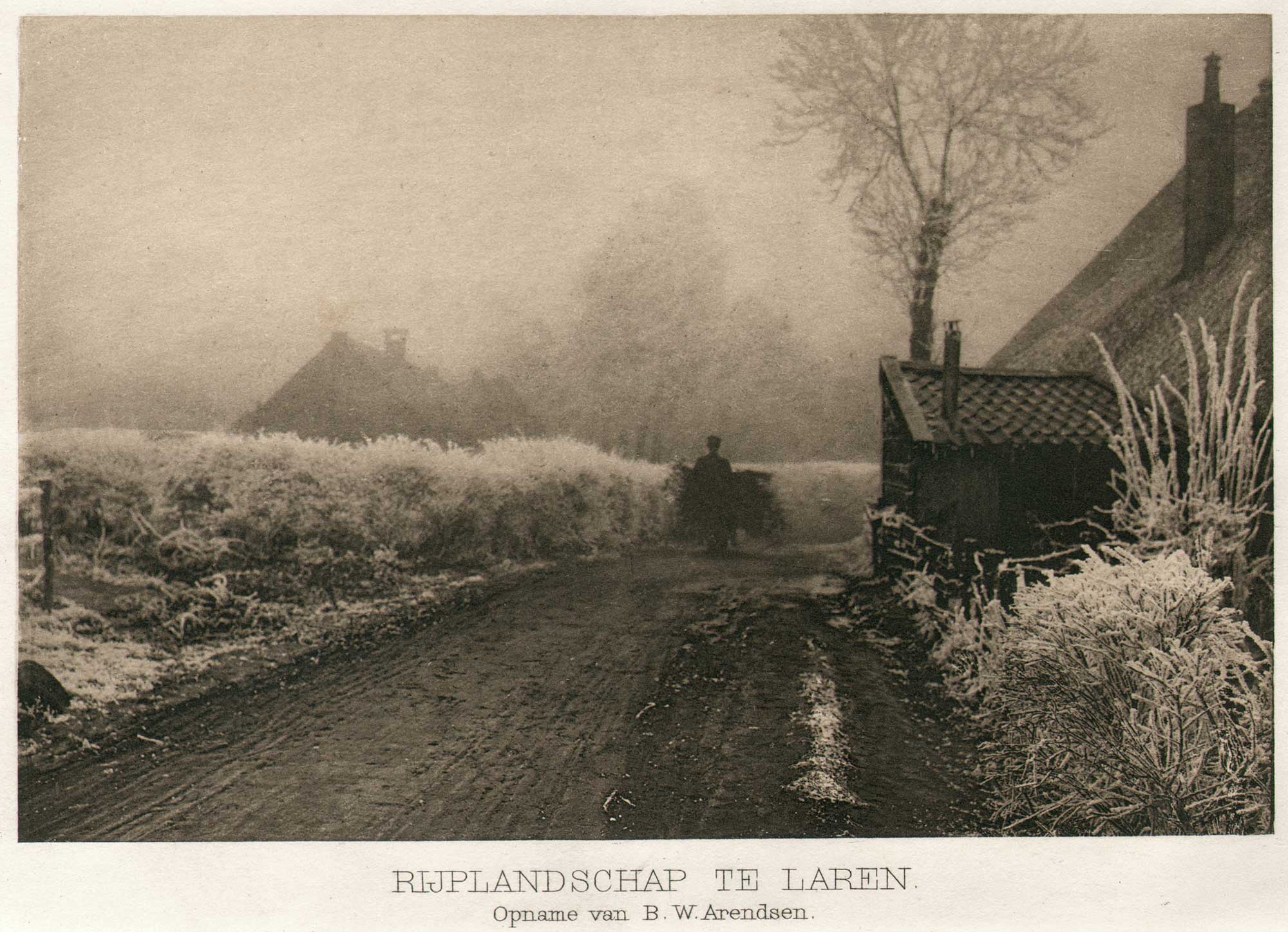 Rijplandschap te Laren | Hoarfrost Landscape in Laren