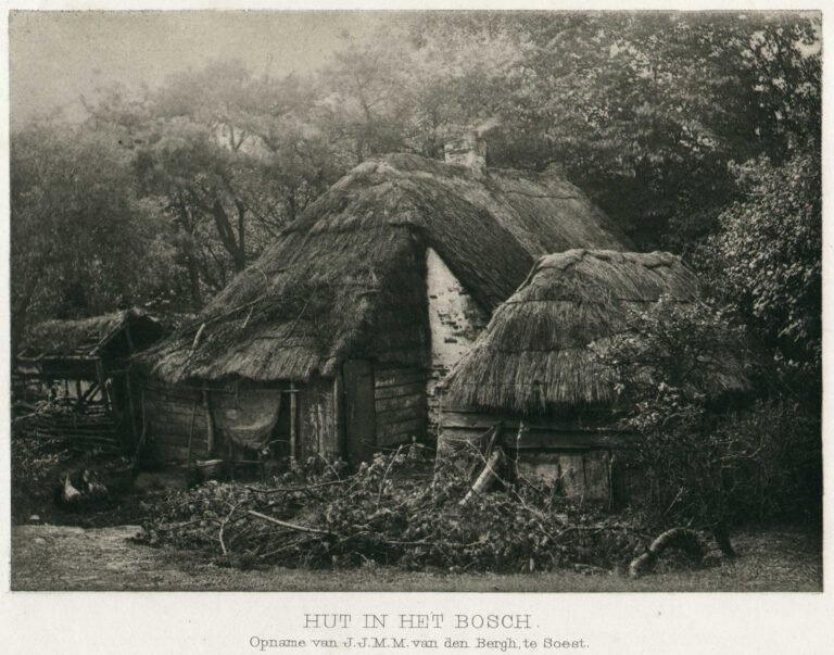 Hut in Het Bosch | Hut in the Forest