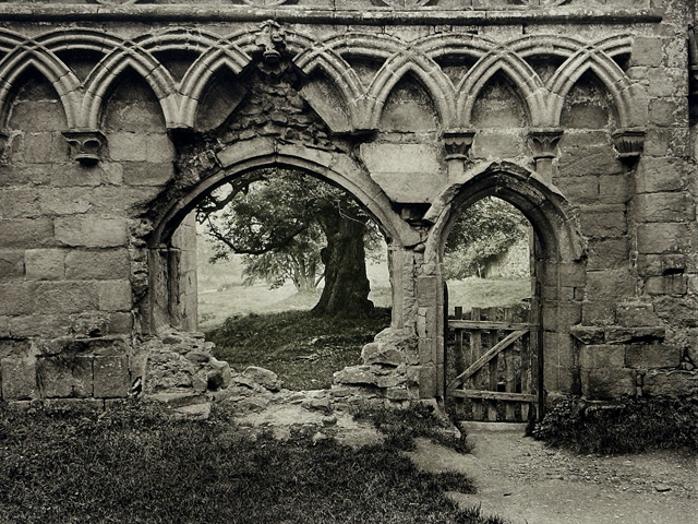 Bolton Abbey