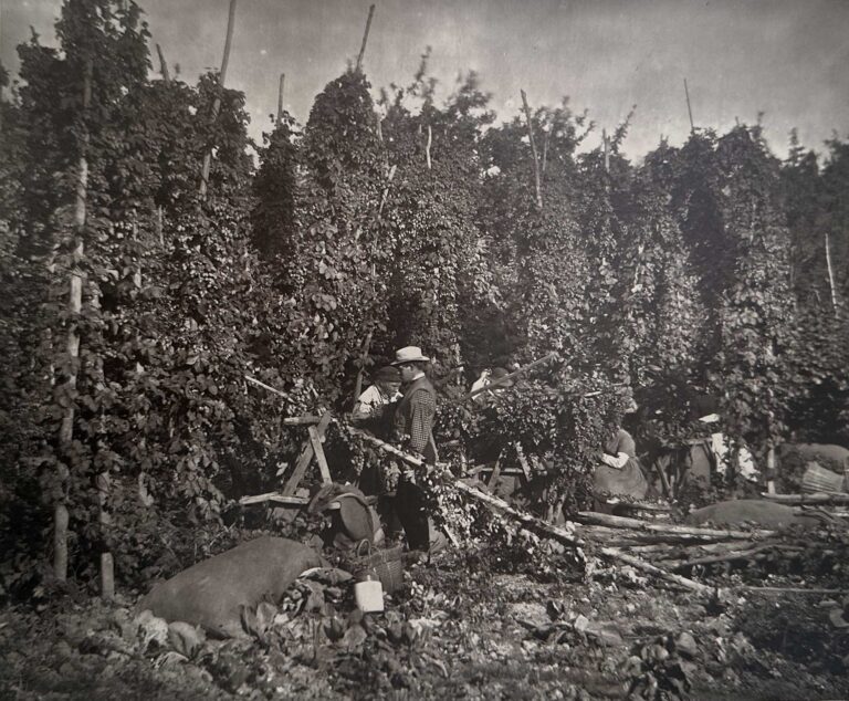 Hop-Picking in Kent