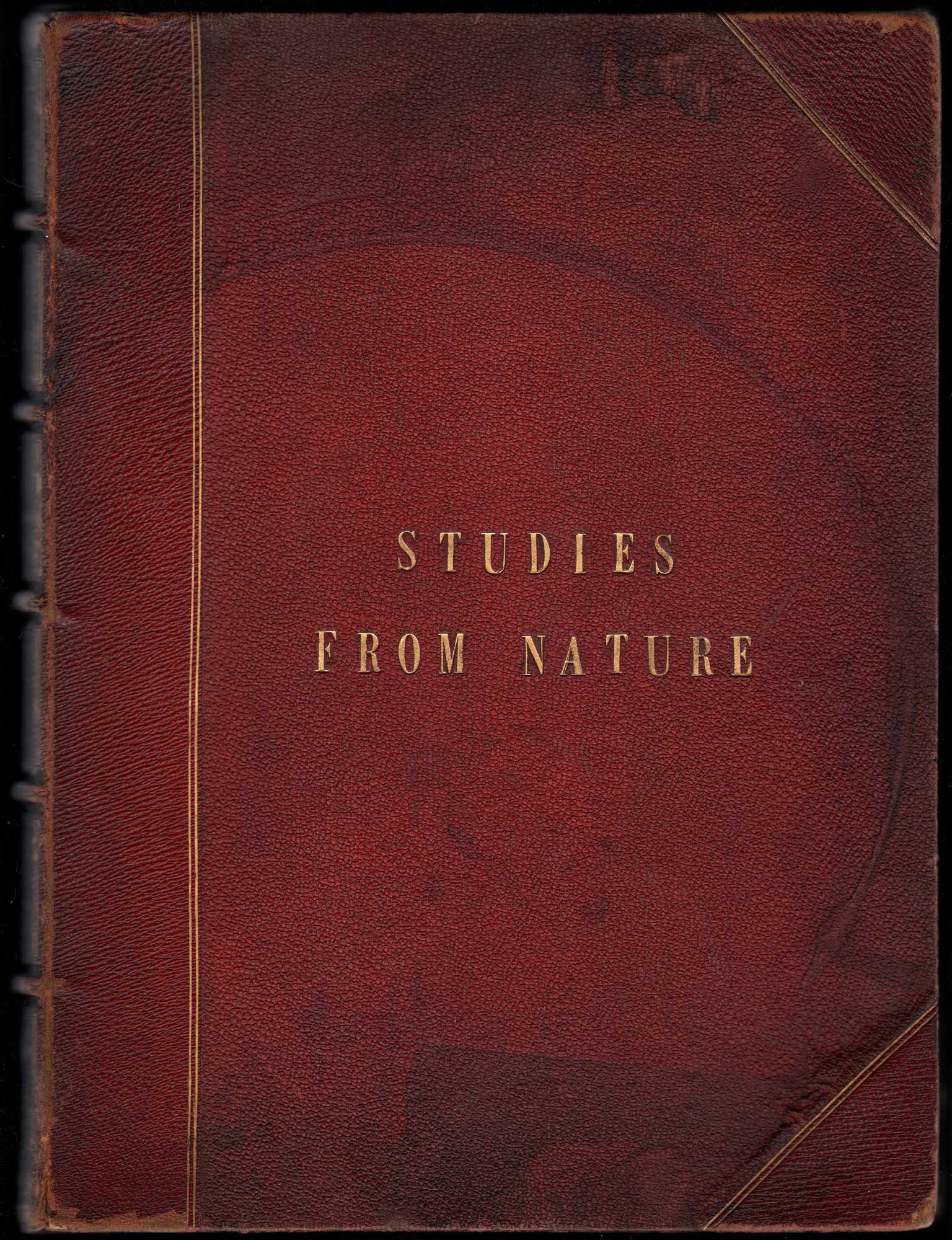 Volume Cover: Studies from Nature