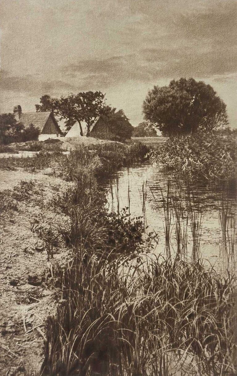 Am Schilfweiher | At the Reed Pond