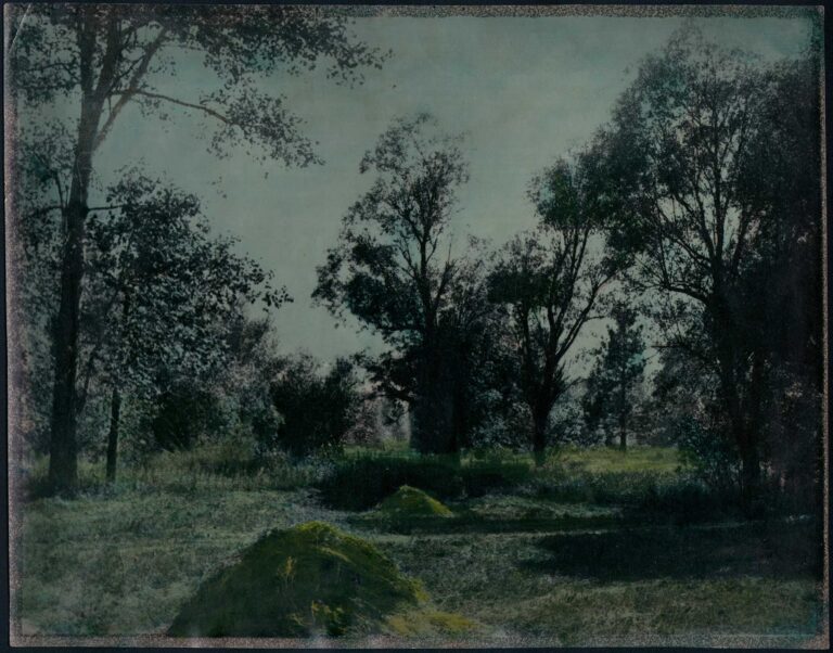 Field with Hay Mounds