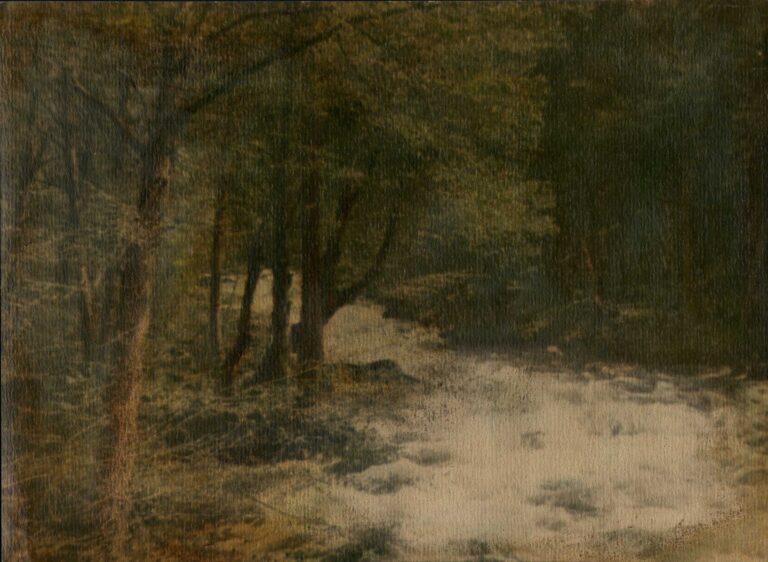 Forest Stream