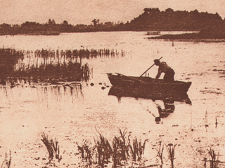 L’Étang D’Overmeire | Lake of Donkmeer