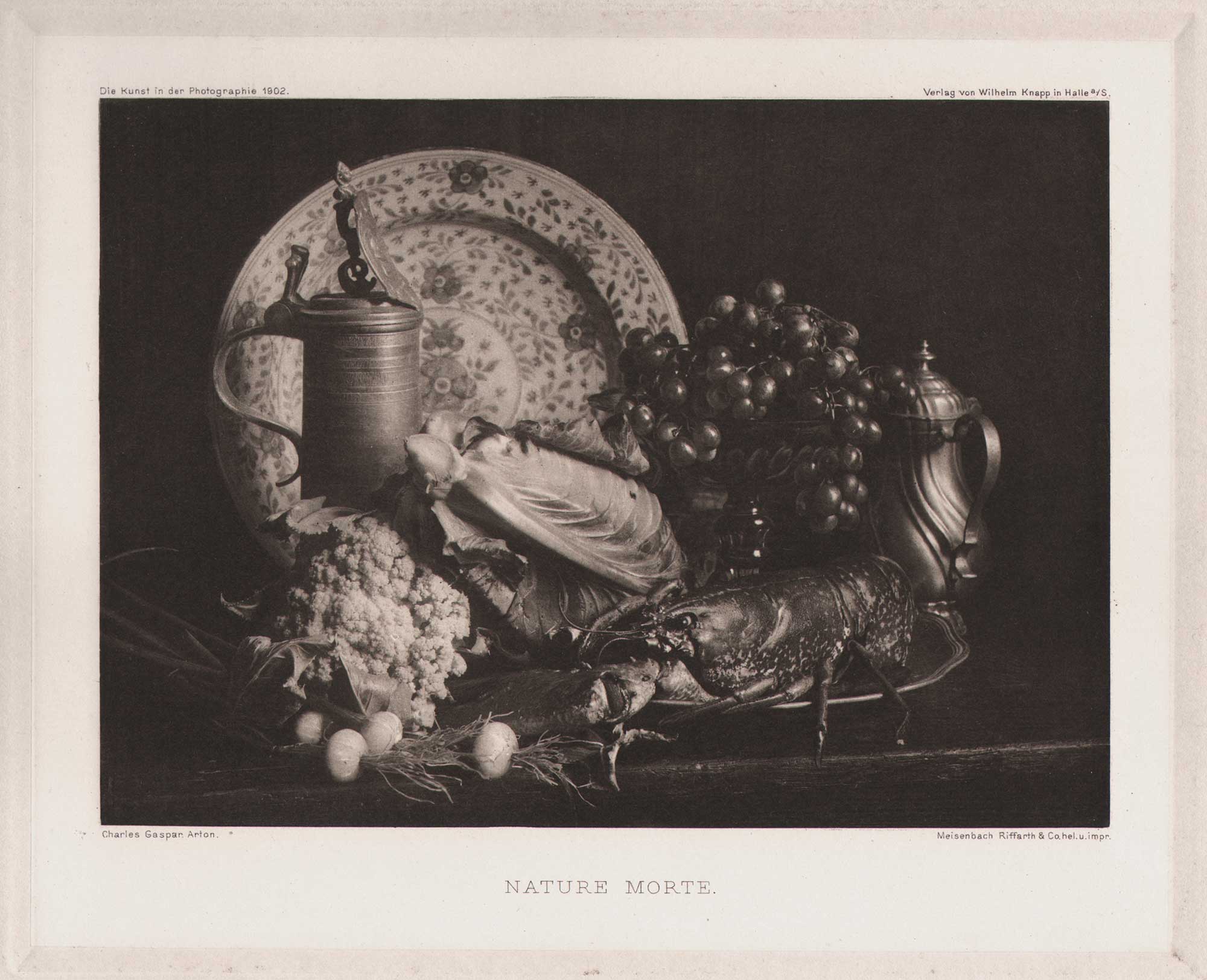 Nature Morte | Still Life