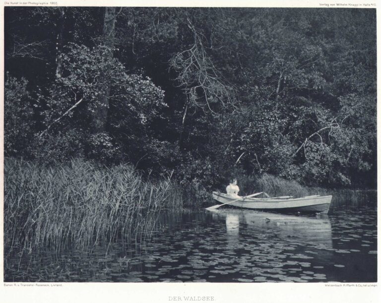 Der Waldsee | The Forest Lake