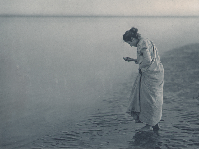 Le Coquillage | The Shell