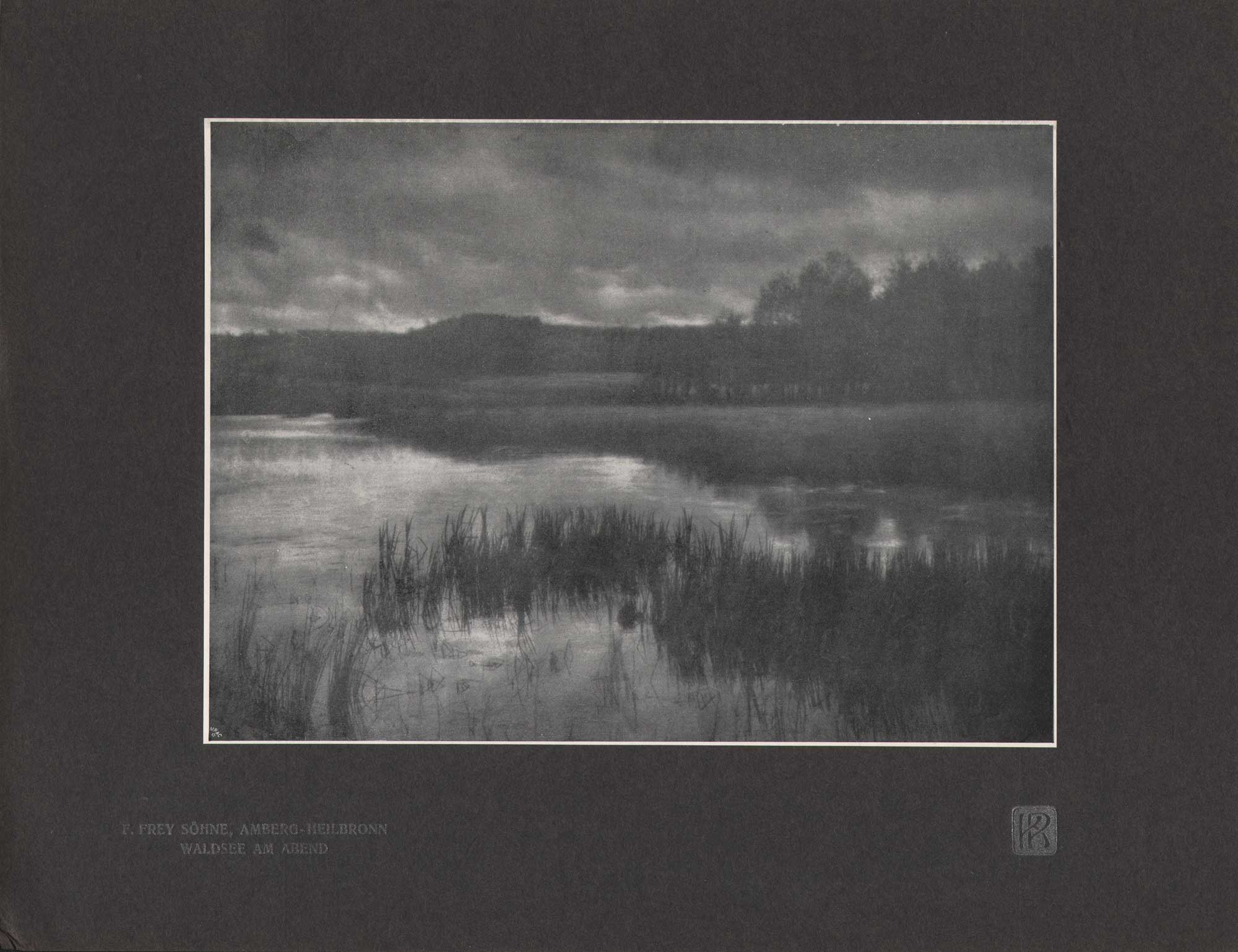 Waldsee am Abend | Forest Lake in the Evening