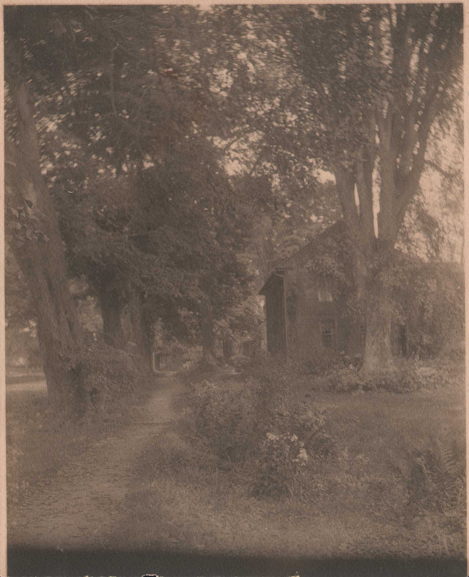 Allen House and Walk