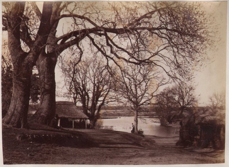 Norfolk | ⎯  Salhouse Broad ⎯