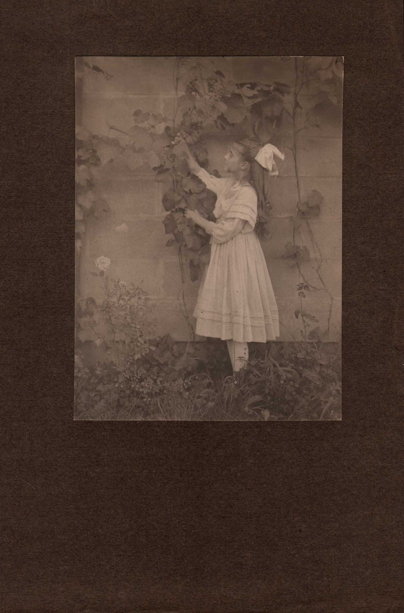 Dorothy Reaching for Grapes outside Home