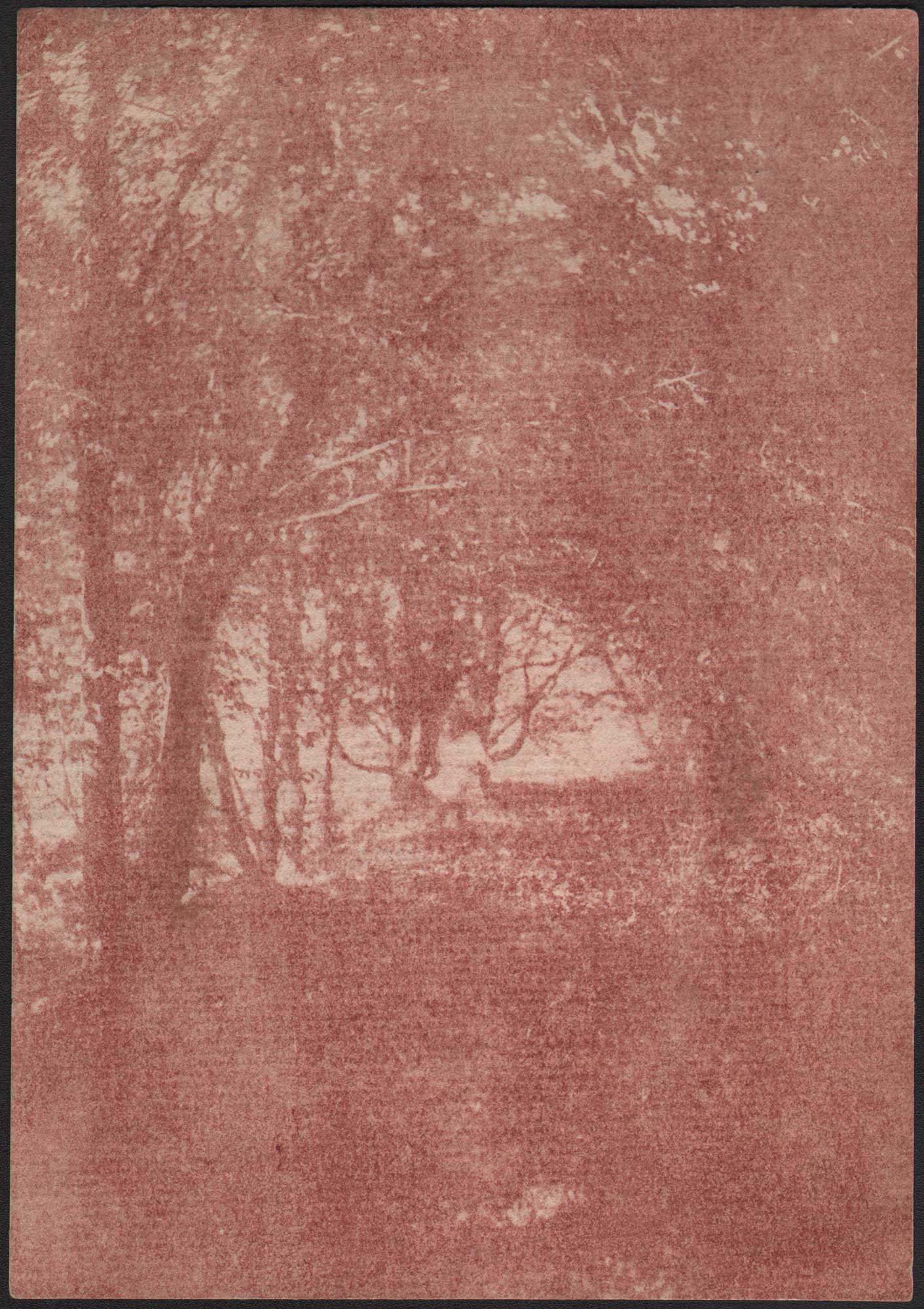 Little Girl Wandering on Forest Path