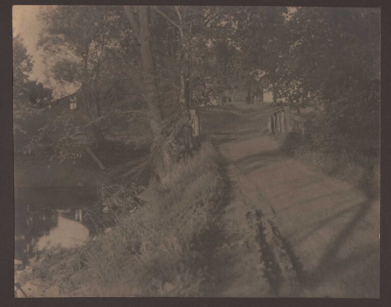 Country Lane