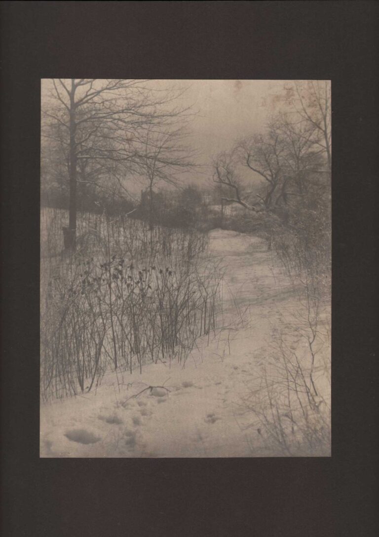 Snowy Path
