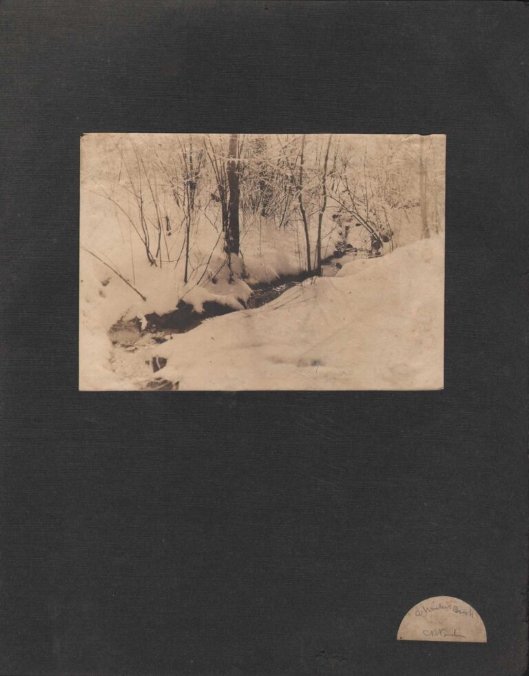 A Winter Brook