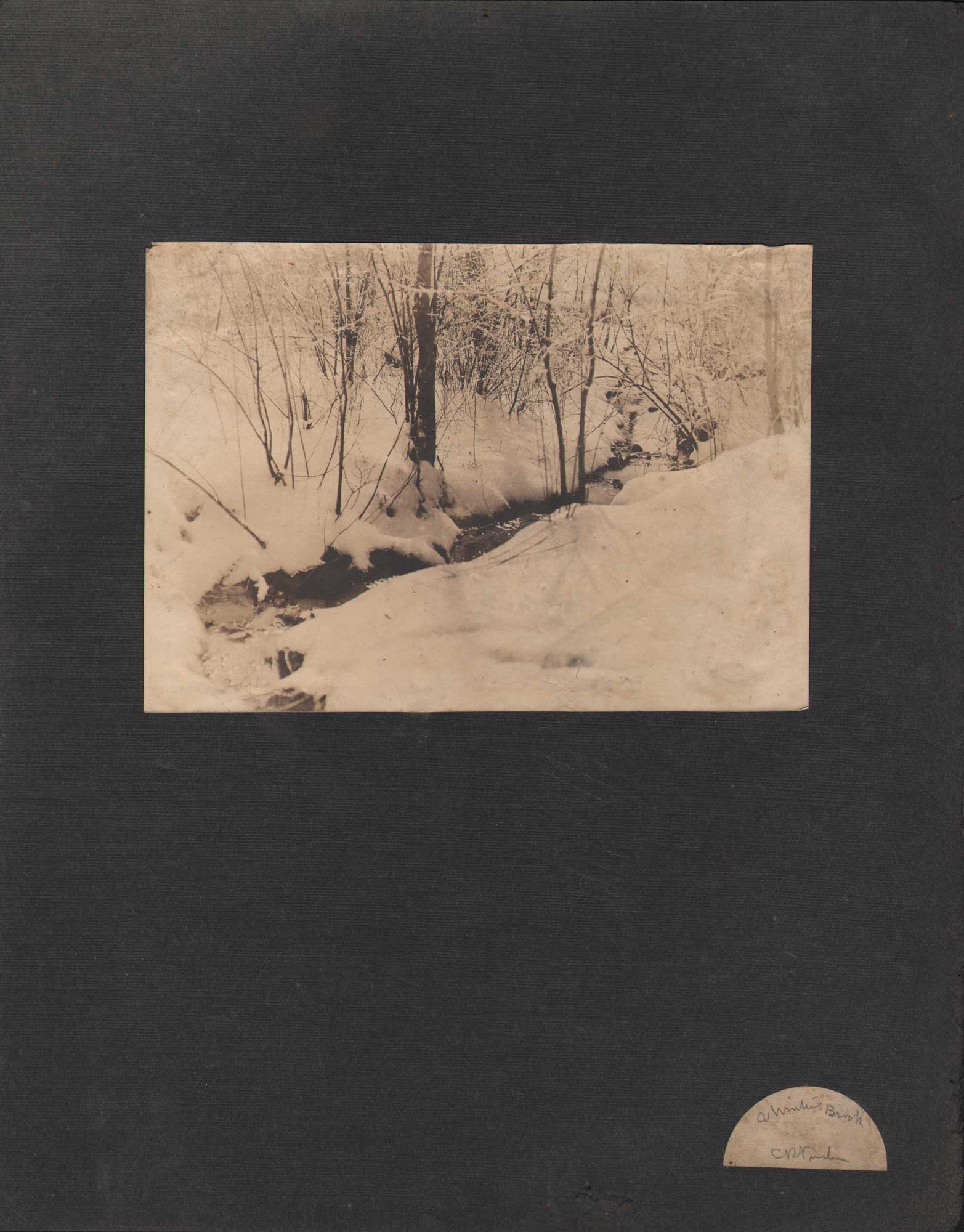 A Winter Brook