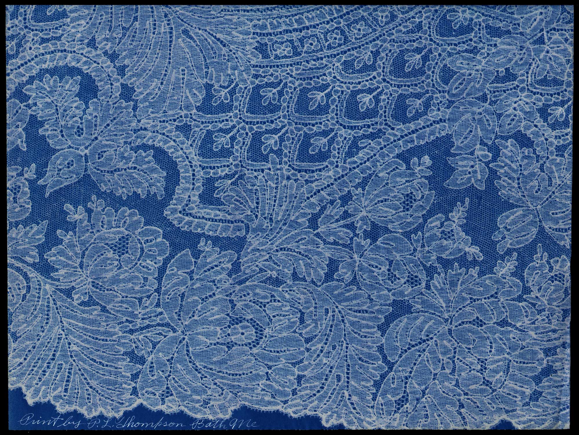 Lace Sample Six: Records of Old Laces: Portfolio 1
