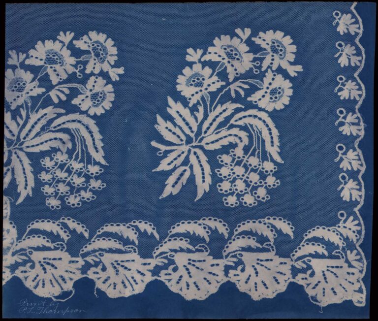 Lace Sample Three: Records of Old Laces: Portfolio 1