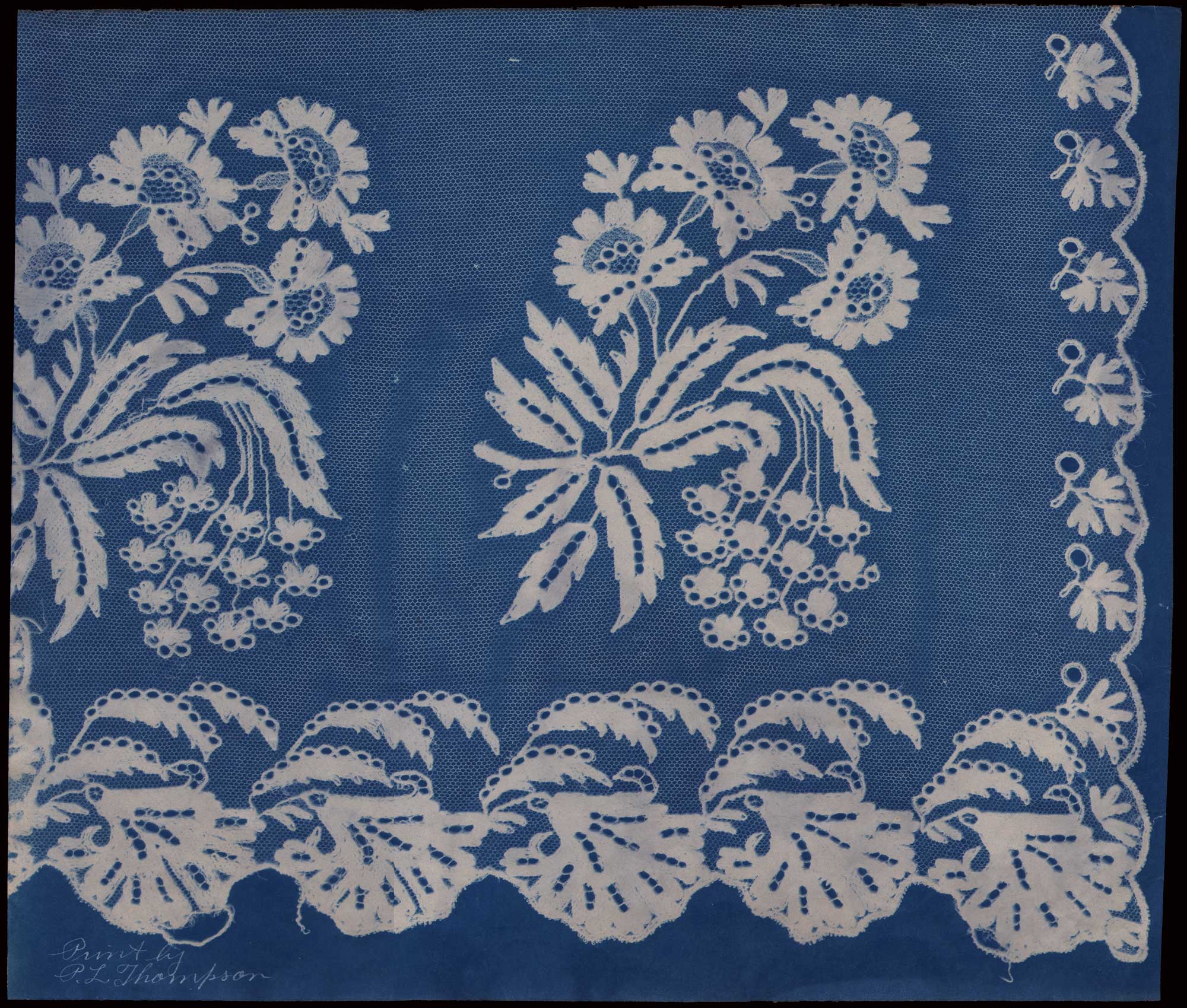 Lace Sample Three: Records of Old Laces: Portfolio 1