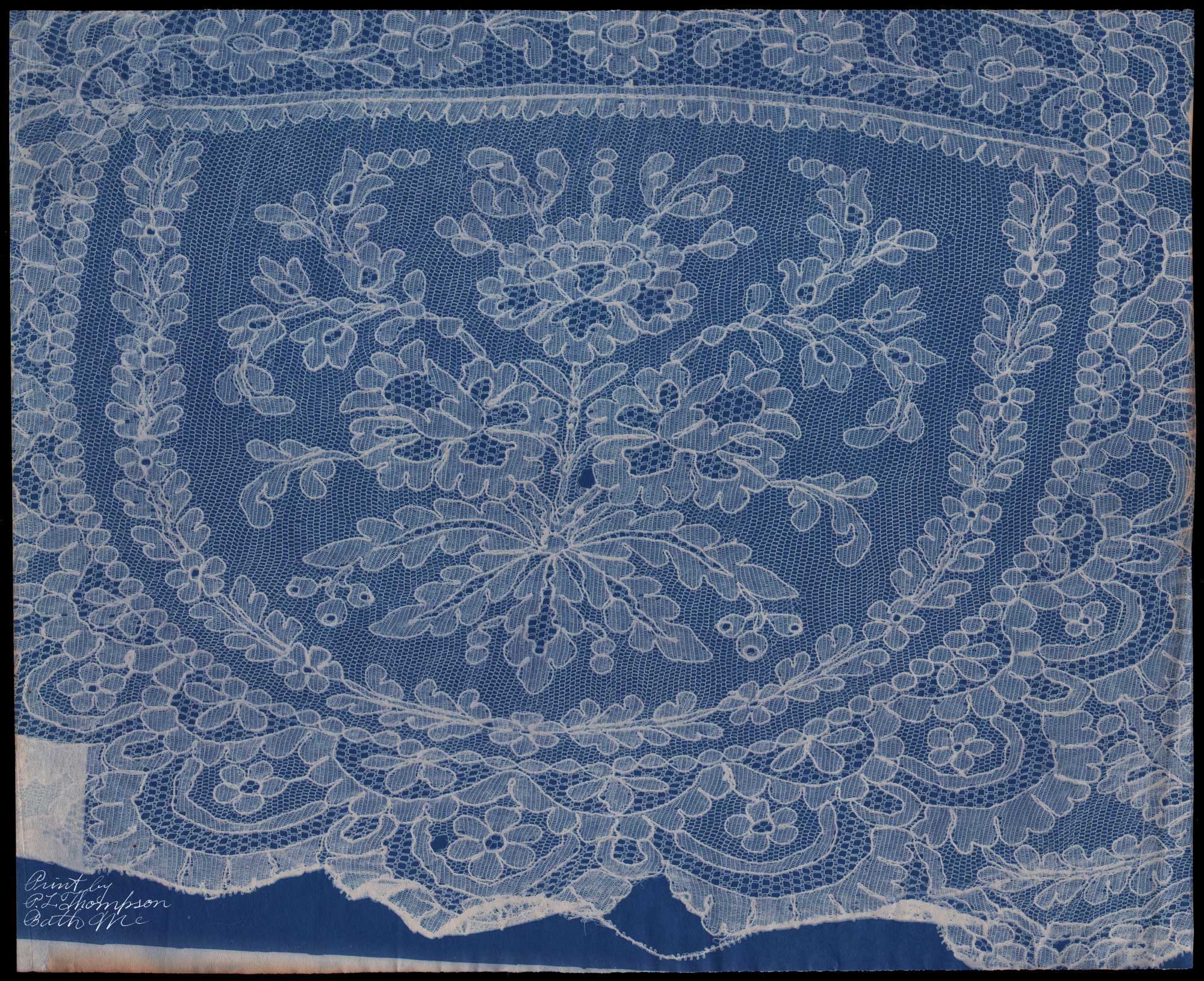 Lace Sample Eight: Records of Old Laces: Portfolio 1