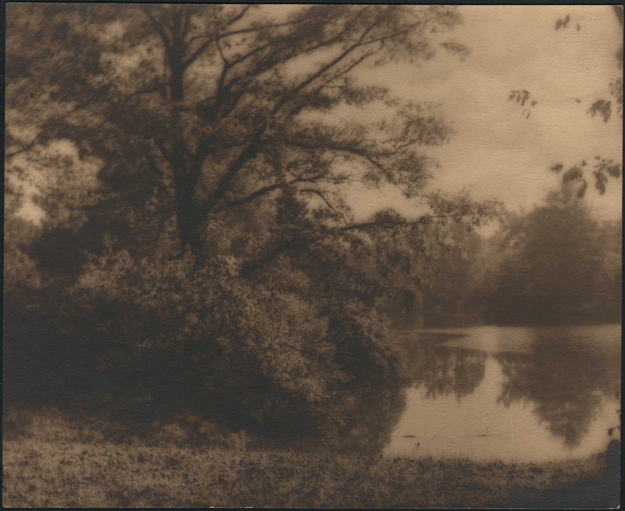 Landscape Vista with Pond