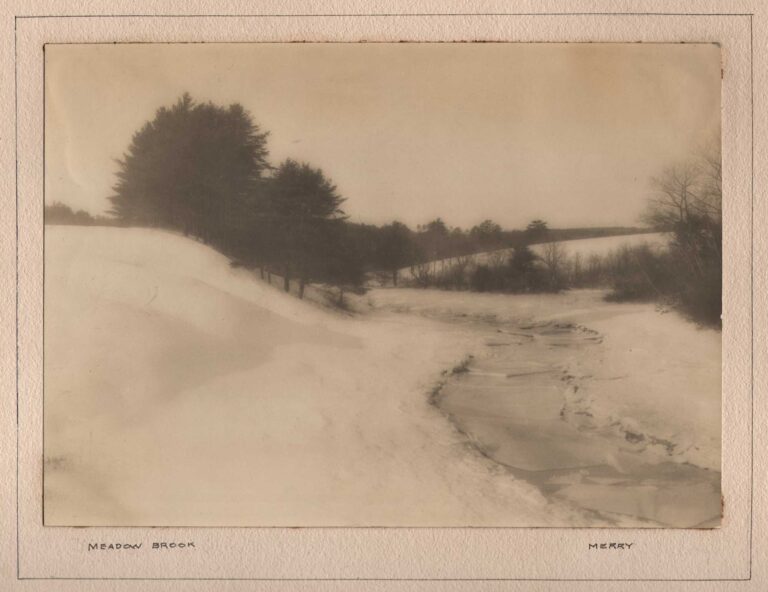Meadow Brook