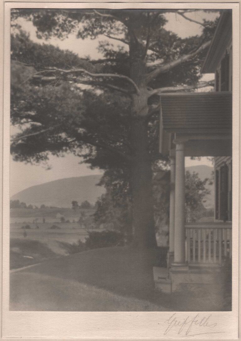 Eastern White Pine with Porch & Mountain Vista