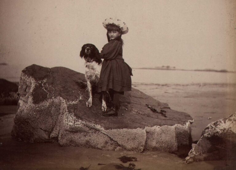 Sea & Shore