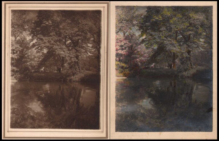 Stream or Pond at Prospect Park, Brooklyn N.Y.
