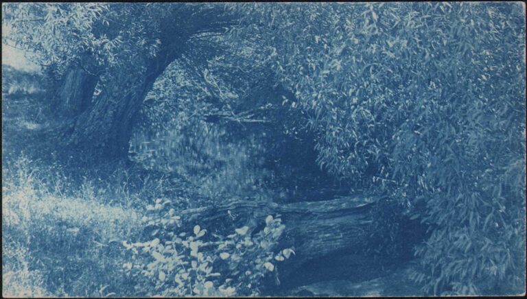 A Peaceful Brook