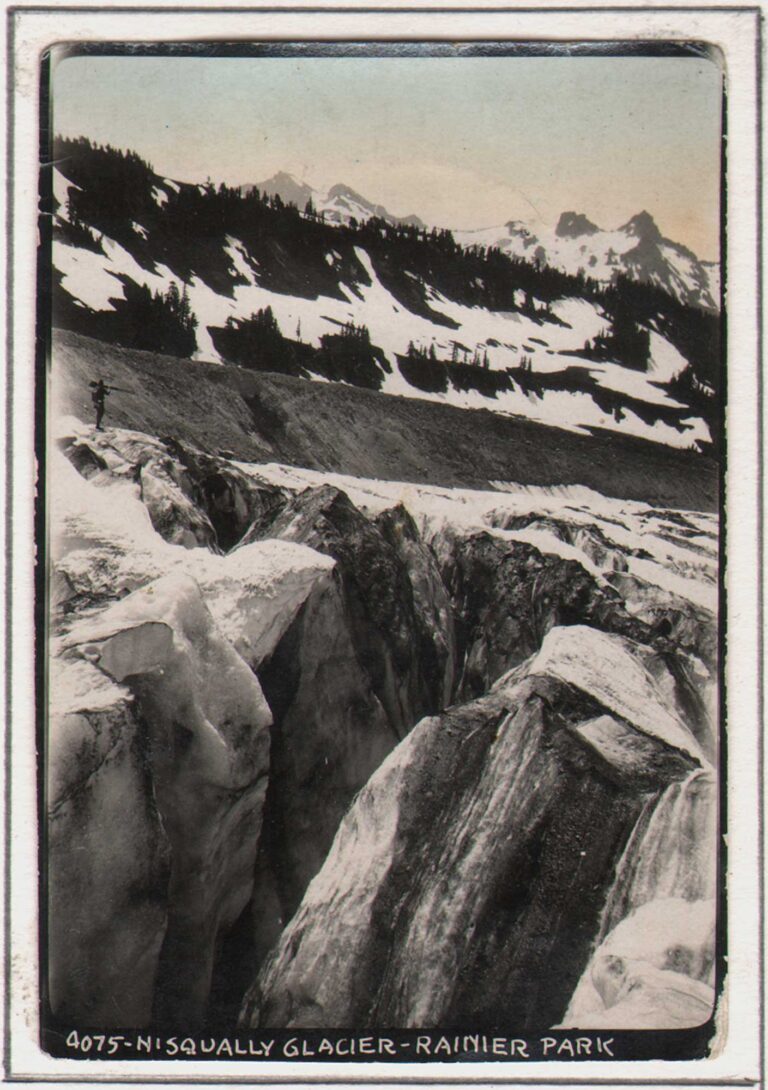 Nisqually Glacier – Ranier Park