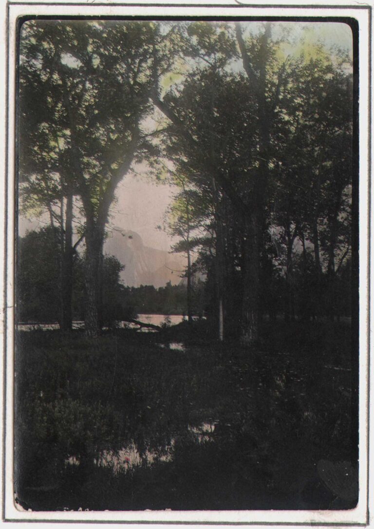 Yosemite Park View through Marshland