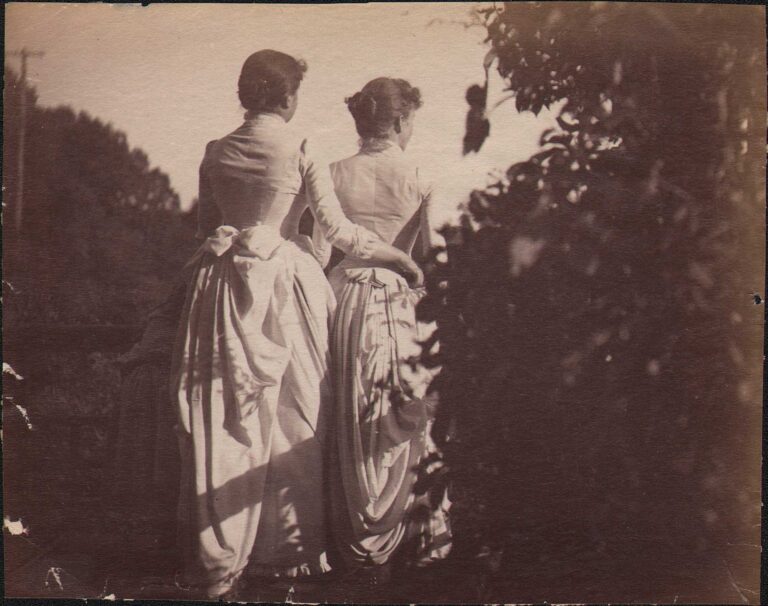 Women Pose on Porch in Brookline, MA: August 8, 1887