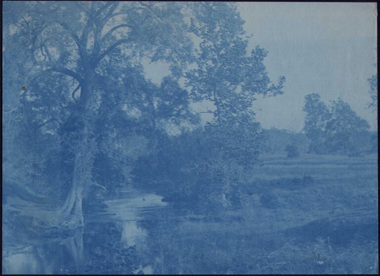 Stream and Pasture near Windsor, CT