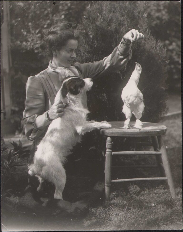 Minnie Fennel Feeds her Brahma Chicken