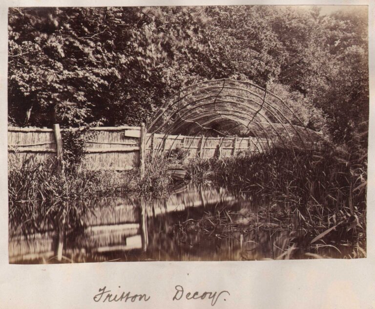The Broads ⎯ Fritton Decoy