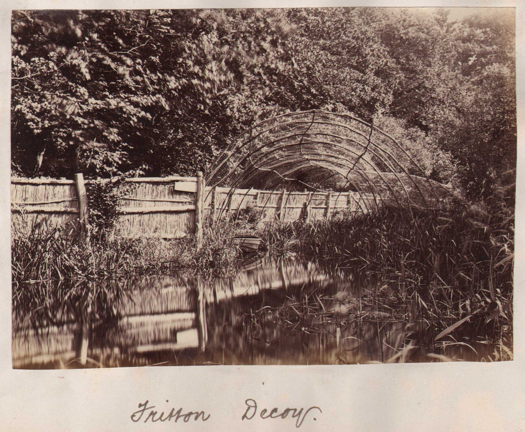 The Broads ⎯ Fritton Decoy