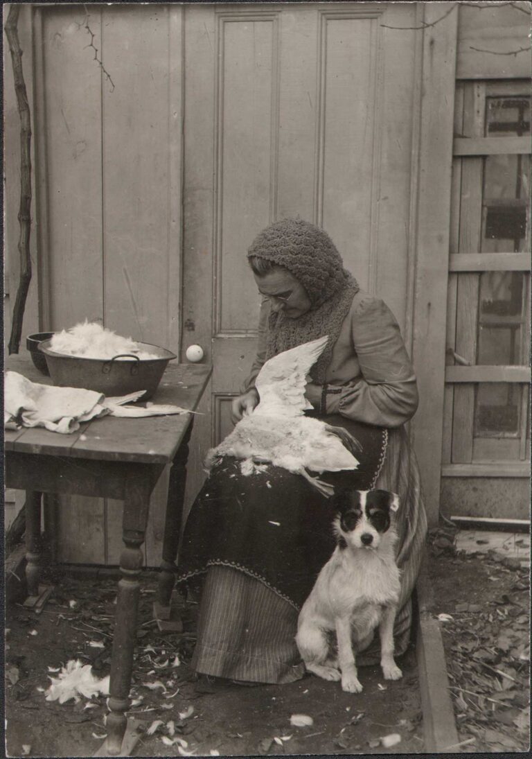 Jeanette Bernard Plucking a Goose