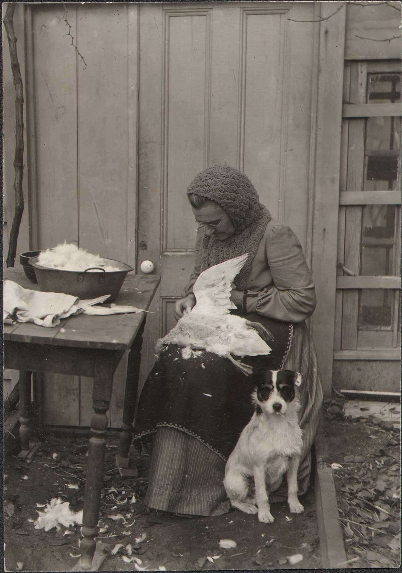 Jeanette Bernard Plucking a Goose