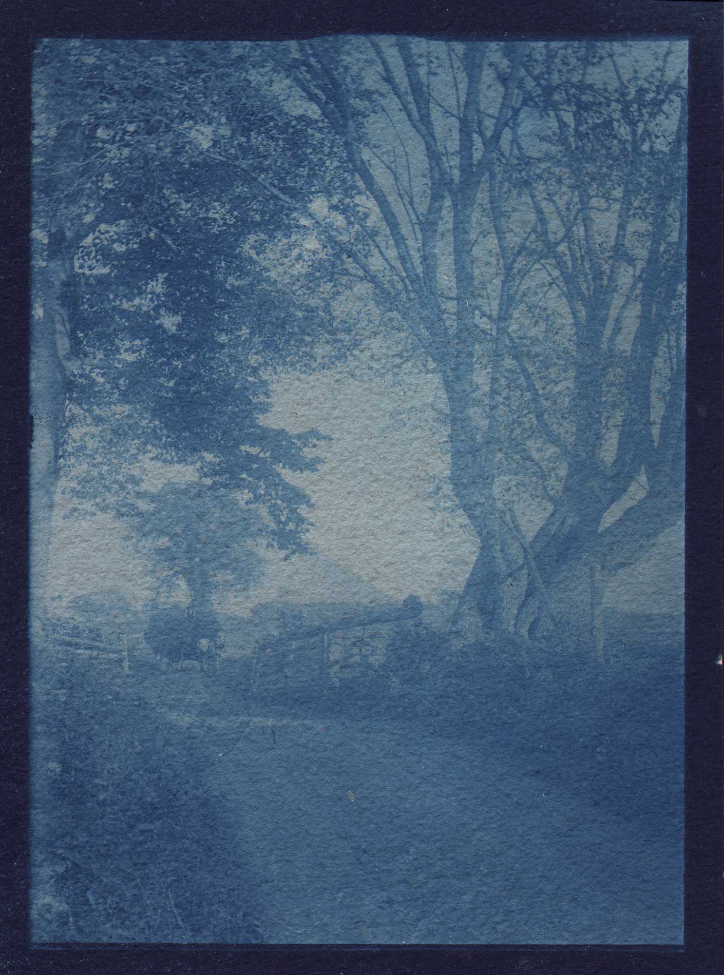 Hay Cart in Roadway near Windsor, CT