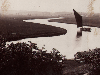 The Broads ⎯ Postwick Grove