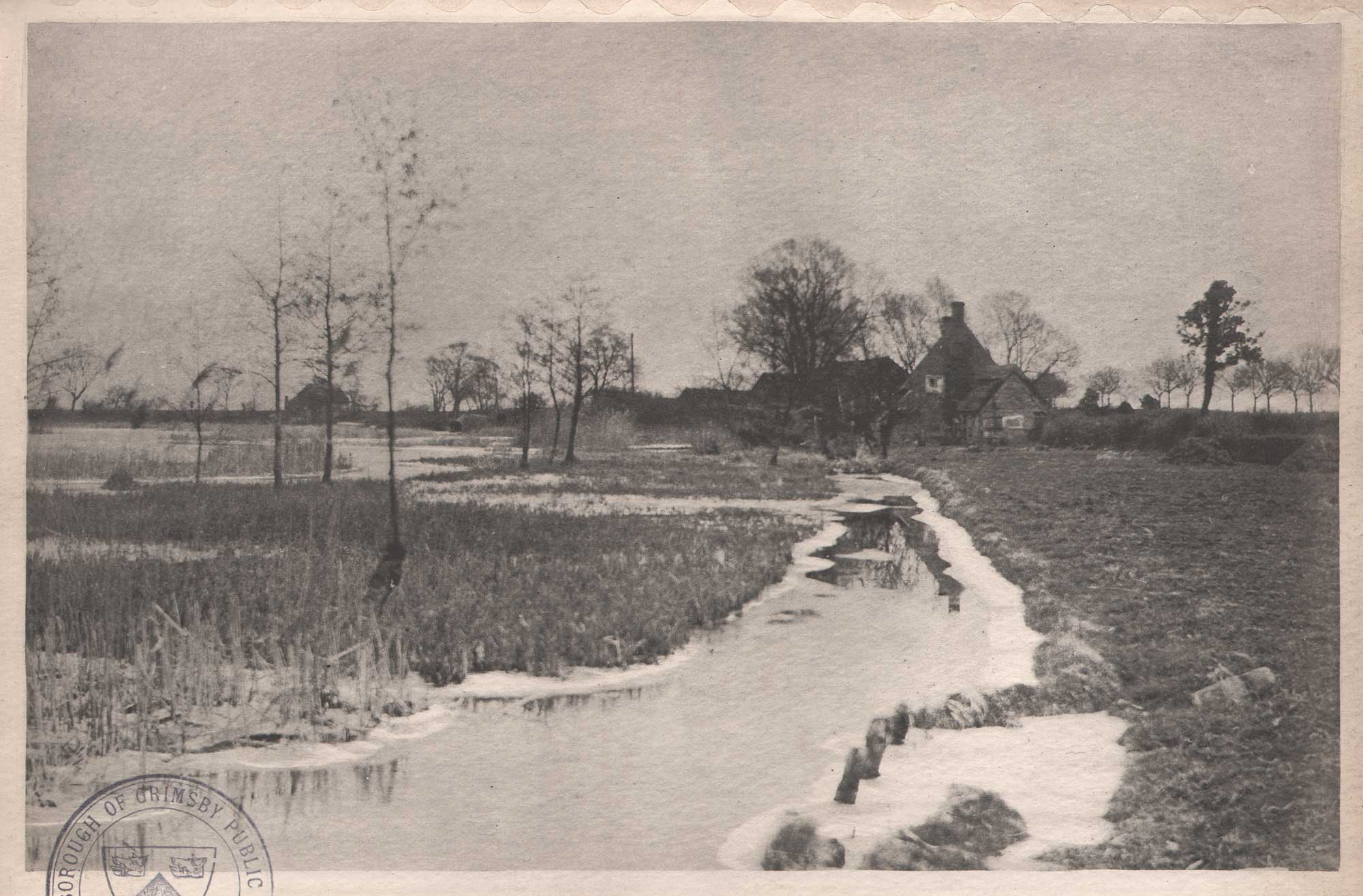 The Edge of the Broad