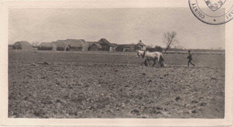 Marsh Farm in Early Spring
