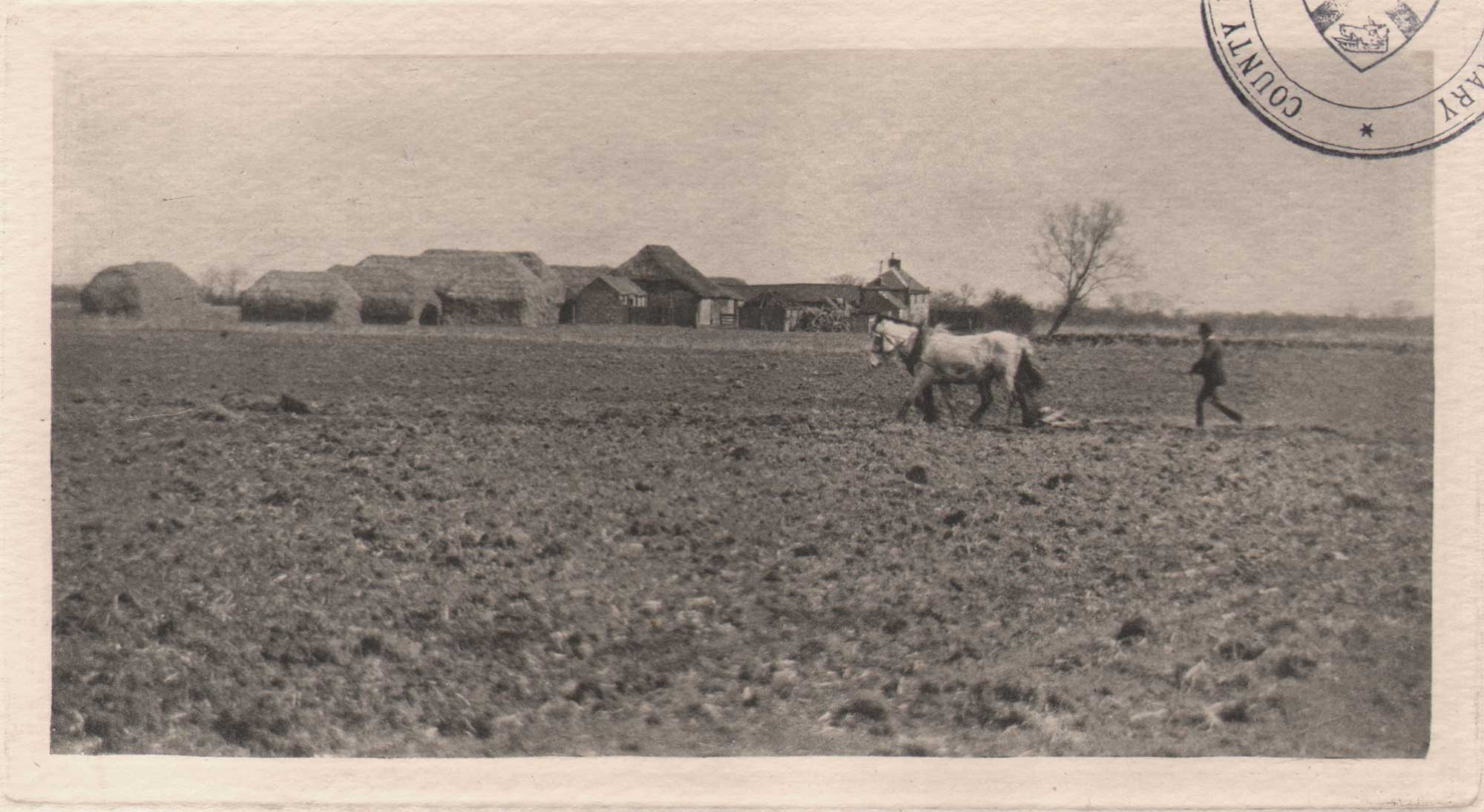 Marsh Farm in Early Spring