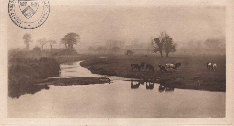 Sheep on the Marshes
