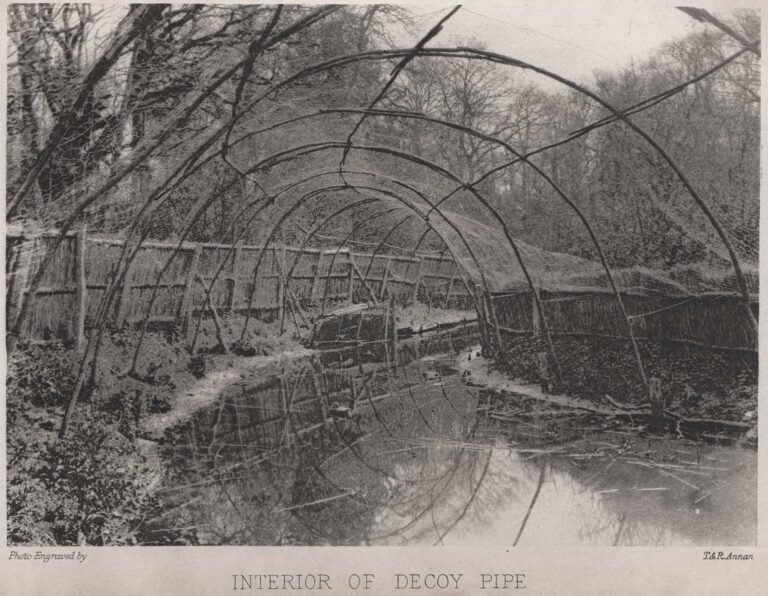 Interior of Decoy Pipe